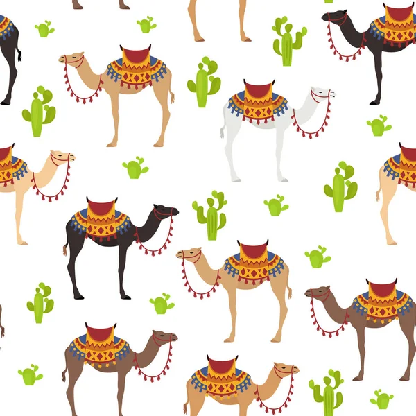 Camelids Familie Collectie Dromedary Kameel Naadloos Ontwerp Vectorillustratie — Stockvector