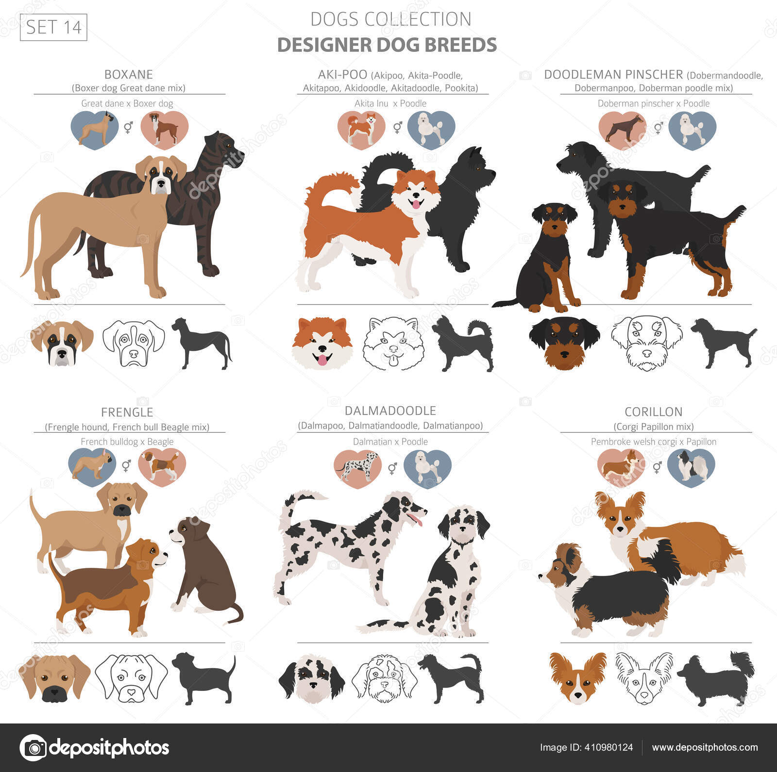 Beagle Boxer Mix Beagle Bulldog Mix For Sale Bulldog Beagle Mix