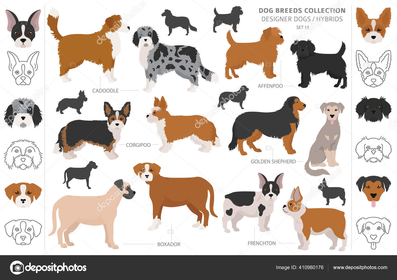 List Of Hypoallergenic Dog Breeds Types Of Non Shedding Deals Dogs
