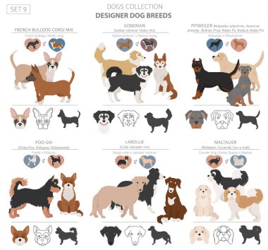Tasarımcı köpekler, melez melez melez karışık köpek koleksiyonu beyazın üstünde izole edilmiş. Düz stil klipart köpek seti. Vektör illüstrasyonu