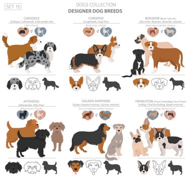 Tasarımcı köpekler, melez melez melez karışık köpek koleksiyonu beyazın üstünde izole edilmiş. Düz stil klipart köpek seti. Vektör illüstrasyonu