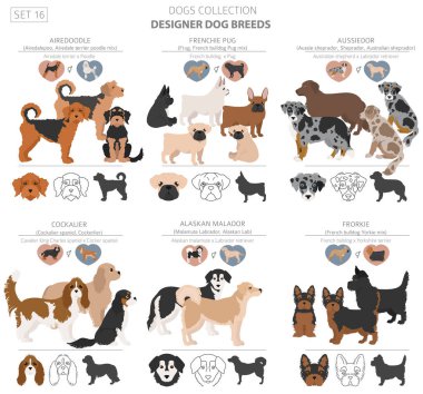 Tasarımcı köpekler, melez melez melez karışık köpek koleksiyonu beyazın üstünde izole edilmiş. Düz stil klipart köpek seti. Vektör illüstrasyonu