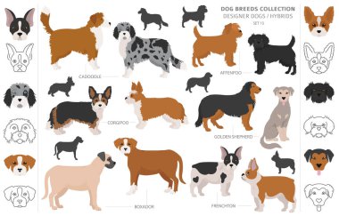 Tasarımcı köpekler, melez melez melez karışık köpek koleksiyonu beyazın üstünde izole edilmiş. Düz stil klipart köpek seti. Vektör illüstrasyonu