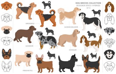 Tasarımcı köpekler, melez melez melez karışık köpek koleksiyonu beyazın üstünde izole edilmiş. Düz stil klipart köpek seti. Vektör illüstrasyonu