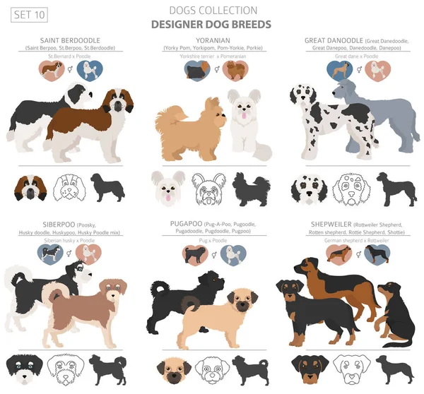 Designer Dogs Crossbreed Hybrid Mix Pooches Collection Isolated White Flat — Stock Vector