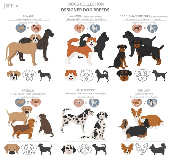 Designer Dogs Crossbreed Hybrid Mix Pooches Collection Isolated White Flat — Stock Vector
