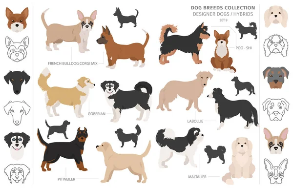 Chiens Concepteurs Métis Collection Hybride Chiots Mélangés Isolés Sur Blanc — Image vectorielle