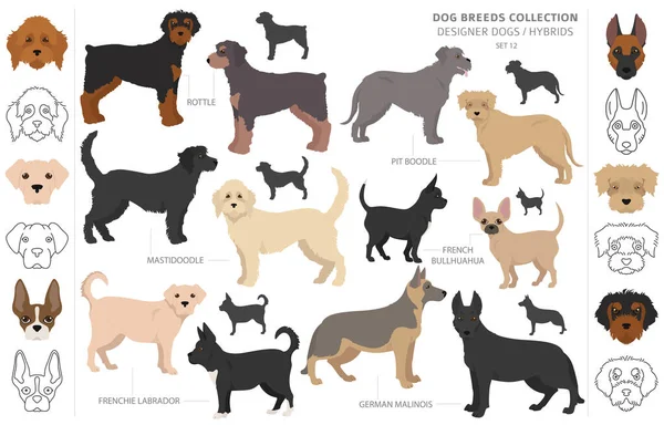 Perros Diseño Mestizo Mezcla Híbrida Colección Perritos Aislados Blanco Conjunto — Vector de stock