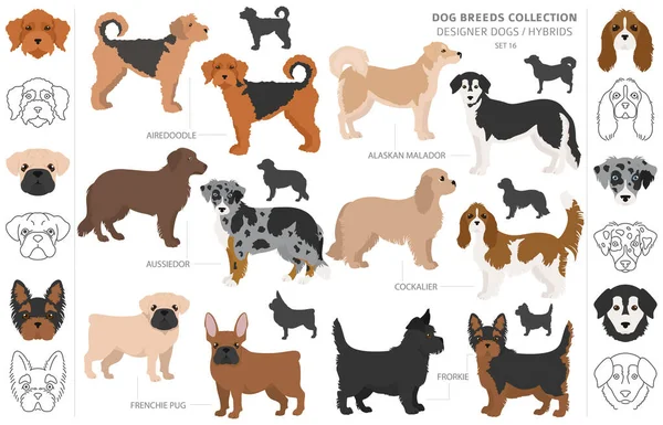 Designer Dogs Crossbreed Hybrid Mix Pooches Collection Isolated White Flat — Stock Vector