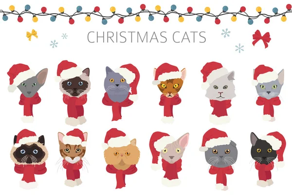 Kattenportretten Kerstmutsen Sjaals Kerstvakantie Ontwerp Vectorillustratie — Stockvector