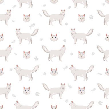 Türk Angora Kedisi zirvesi. Tüm ceket renkleri ayarlandı. Tüm kediler karakteristik bilgi kaynaklarına sahiptir. Vektör illüstrasyonu