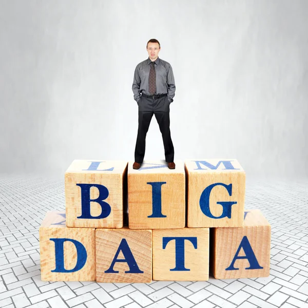 Self Confident adult Caucasian man stands on the top of heap of wooden blocks with text Big Data