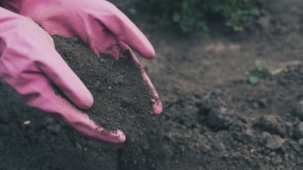 Jordbruksarbete Ekologisk Odling Och Vårodling Närbild Kvinnans Hand Plantering Marken — Stockvideo