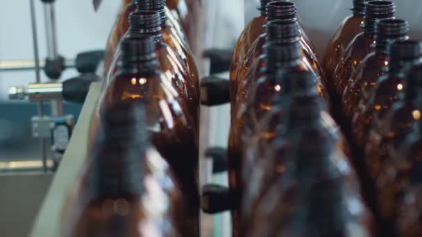 Taśma Transportowa Plastikowymi Butelkami Automatyczna Maszyna Fabryka Przemysłowa Linia Transportująca — Wideo stockowe