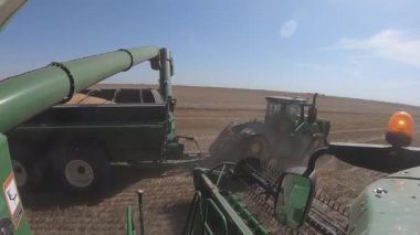 Hasat. Tarım işi. Tarladaki hasatçı. Gıda endüstrisi, tarım..