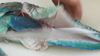Taze balık. Balık kesme. Balık pişiriyorum. Taze Balık Kesme Süreci.
