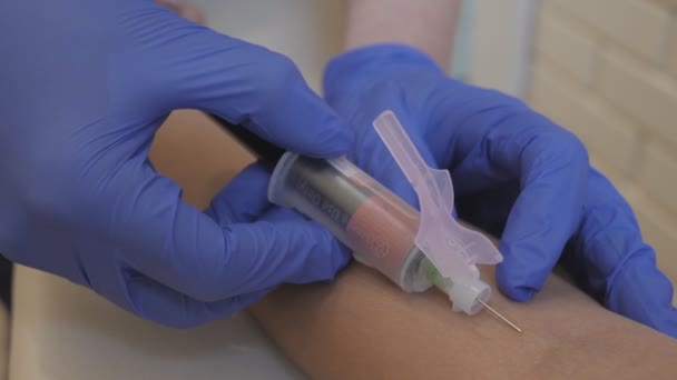Tes darah. Sampel darah untuk tes vena. Transfusi donasi darah. Tes virus Corona. — Stok Video