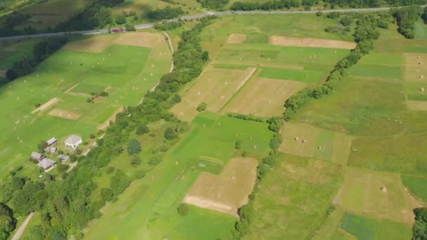 Champ agricole. Vue aérienne Agriculture biologique Agricole. — Video