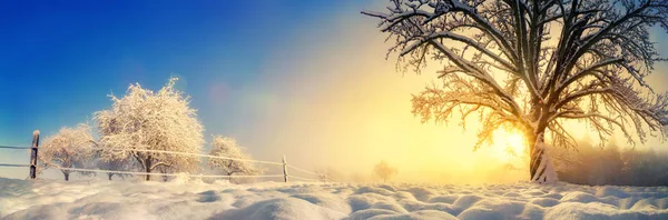 Paisagem Coberta Neve Rural Com Sol Inverno Tiro Panorâmico Com — Fotografia de Stock