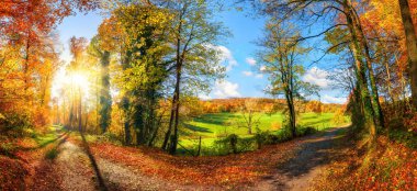 Sonbaharda muhteşem renkli panoramik manzara