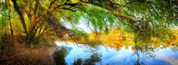 Çarpıcı renklerle rüya gibi doğa manzarası
