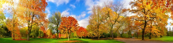 Colorful park panorama in autumn — Stock Photo, Image