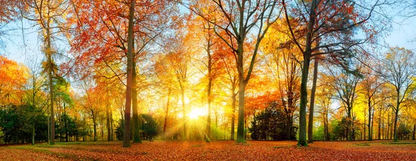 Cenário de outono colorido em um parque — Fotografia de Stock