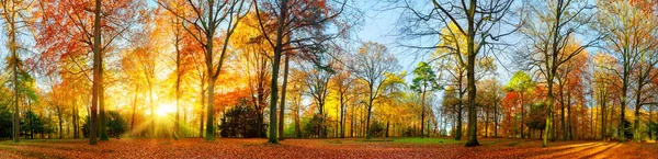 Coloridos paisajes otoñales en un parque — Foto de Stock