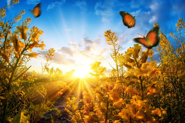 Bright rural sunset seen through blossoms on a meadow, with butterflies roaming in the air and deep blue sky