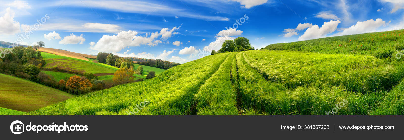 Paisaje Rural Panorámico Con Idílicos Vastos Campos Cebada Verde Colinas —  Foto de stock #381367268 © Smileus, image size:1600x557