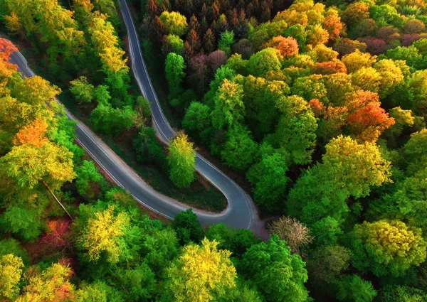 落葉樹の美しい森の中で曲がりくねった道を眺めながら撮影されたカラフルな空中風景 — ストック写真