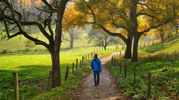 Człowiek Cieszący Się Relaksujący Spacer Pięknej Wsi Zielonych Łąk Jesiennych — Zdjęcie stockowe