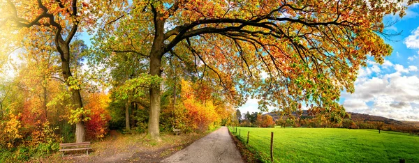 Hermoso Paisaje Rural Otoño Paisaje Panorámico Con Sendero Que Conduce —  Fotos de Stock