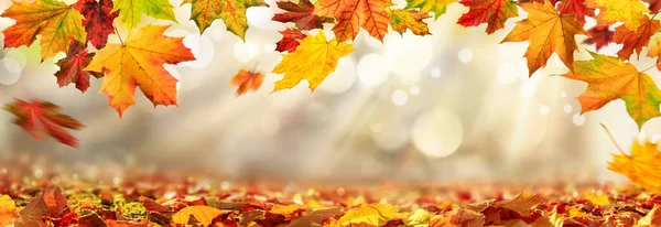 Foglie Colorate Autunno Decorare Una Bella Natura Bokeh Sfondo Con — Foto Stock