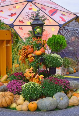 Kabaklar, çiçek ve bitkilerin Gastronomi Festivali 