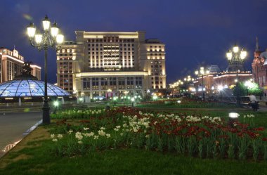 Moskova'da Manezhnaya Meydanı'nda parkın çiçek tarharasında Çiçekler. Rusya, Moskova, Mayıs 2019