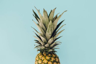 Ananas renkli mavi zemin üzerine