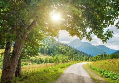 Dağ yolu. Kayalıklı manzara, ağaçtan geçen güneş ışığı ve yazın asfalt yol..