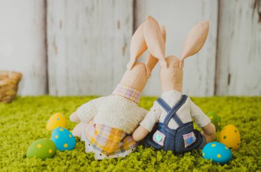 çimenlerin üzerinde oturan Paskalya tavşan çifti