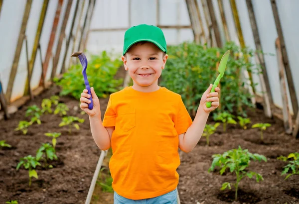 Kind im Garten — Stockfoto