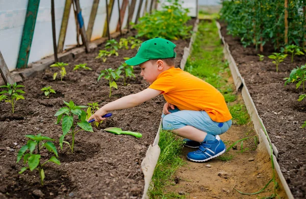 Kind in de tuin — Stockfoto