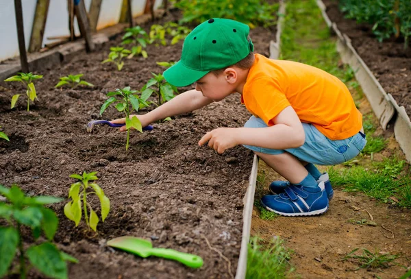 Kind in de tuin — Stockfoto