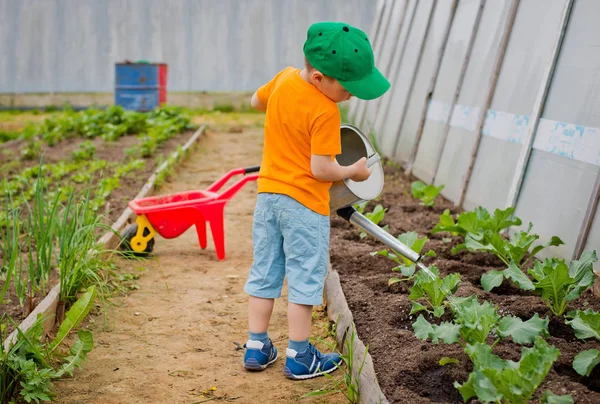 Kind gießt den Garten — Stockfoto