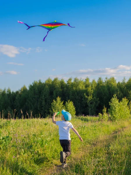 Glücklicher Junge Mit Einem Drachen Der Sommer Der Natur Auf — Stockfoto