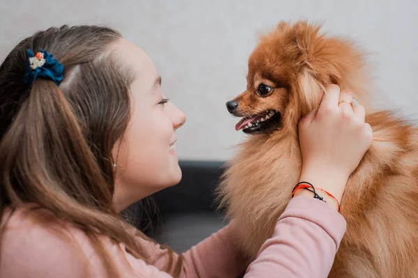 Adolescente con una raza de perro Spitz se regocija con una mascota en casa en el suelo . —  Fotos de Stock