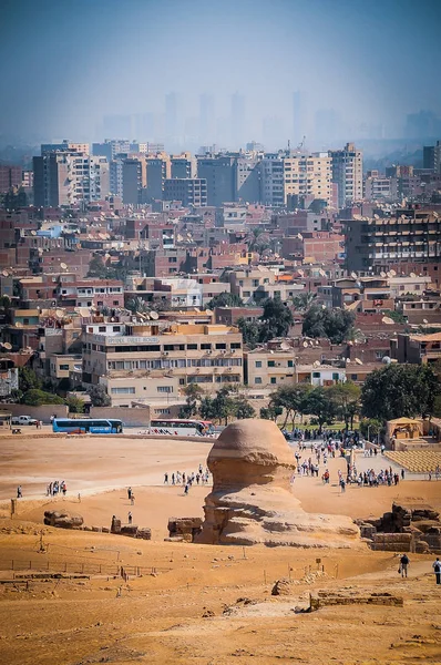 Nomade su cammello vicino alle piramidi nel deserto egiziano — Foto Stock