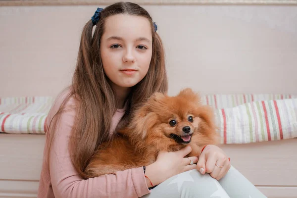 Adolescente con una raza de perro Spitz se regocija con una mascota en casa en el suelo . —  Fotos de Stock