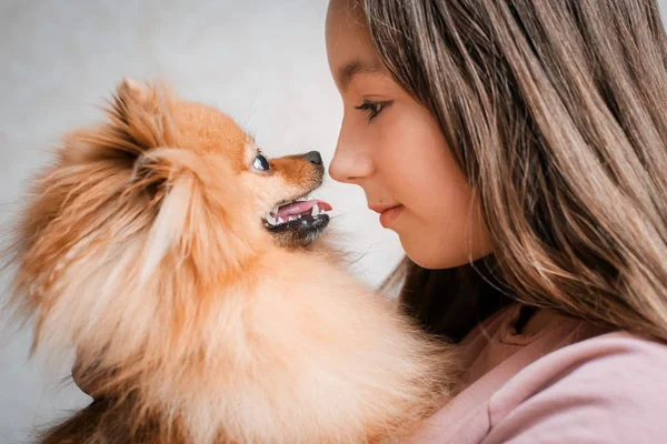 Adolescente con una raza de perro Spitz se regocija con una mascota en casa en el suelo . —  Fotos de Stock