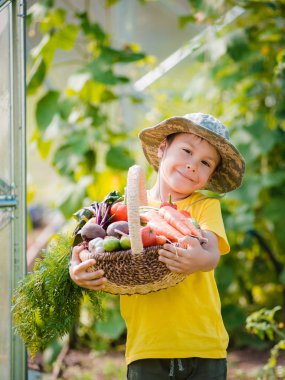 Sevimli küçük çocuk iç bahçede taze organik sebze bir demet tutan.