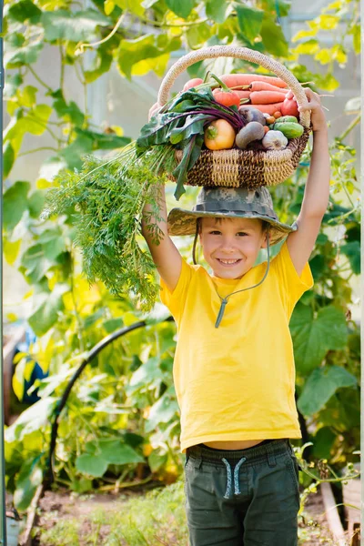 Netter kleiner Junge mit einem Bündel frischem Bio-Gemüse im heimischen Garten. — Stockfoto